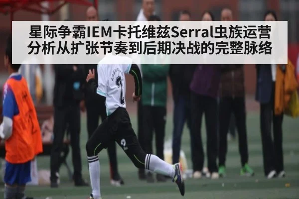 星际争霸IEM卡托维兹Serral虫族运营分析从扩张节奏到后期决战的完整脉络